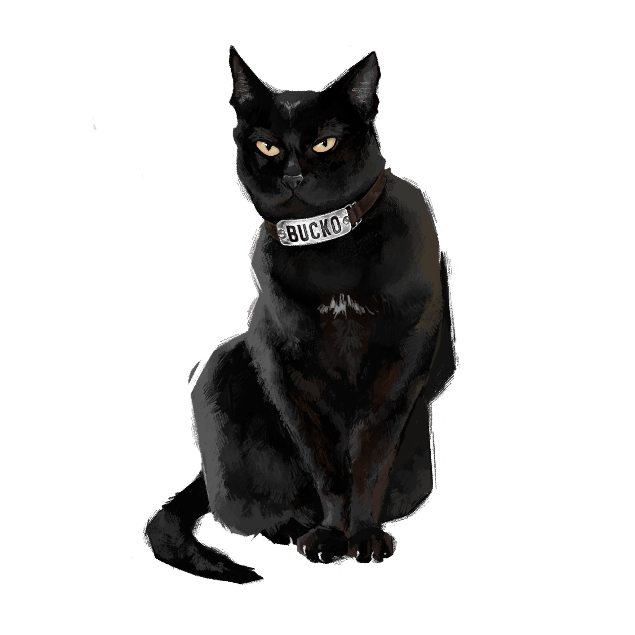 Bucko - Cat Like That Artwork